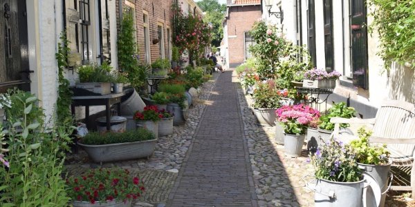 Foto: Elburg denkt vooruit naar 800 jaar stadsrechten