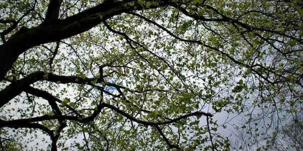 Foto: Gezamenlijke passiestonden en Paasviering